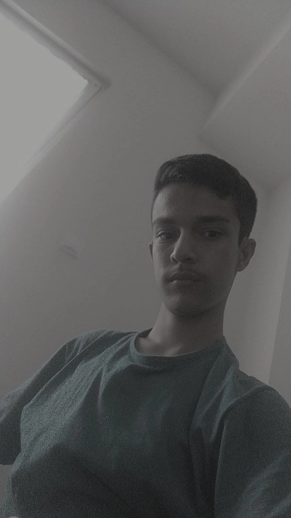 ارسلان