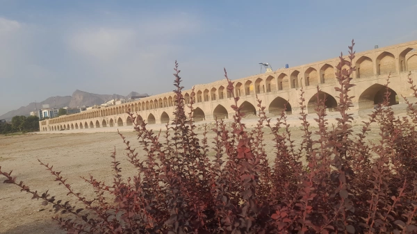 امیر