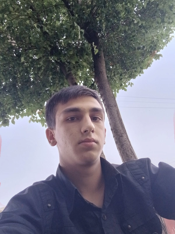 سیاره 4869