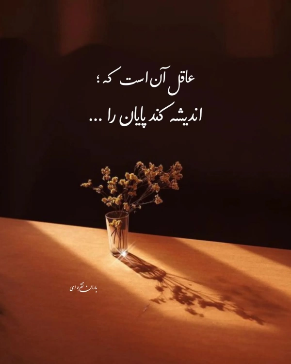 OMID_AMATUR