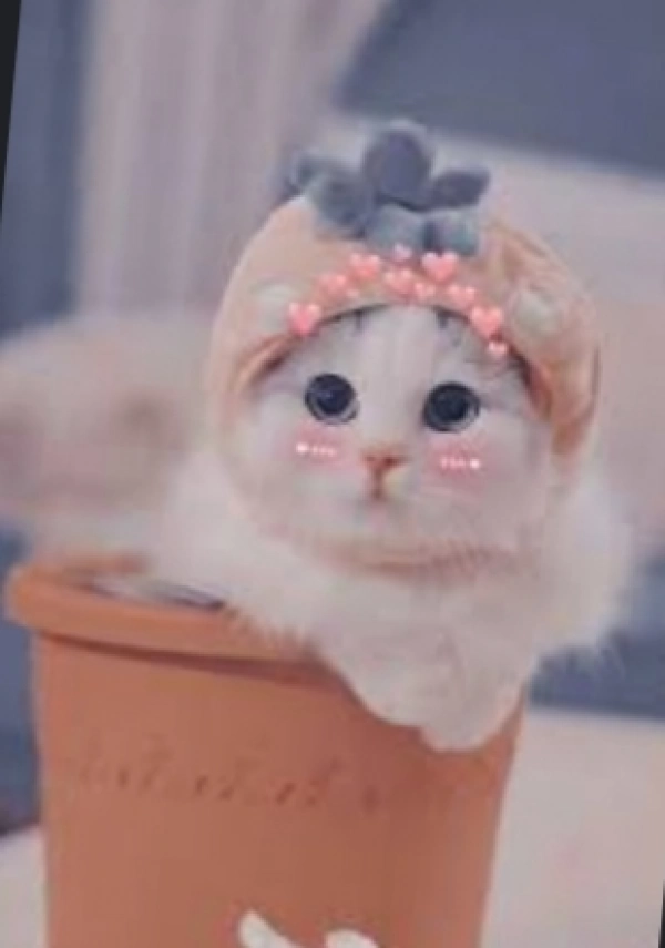 soso