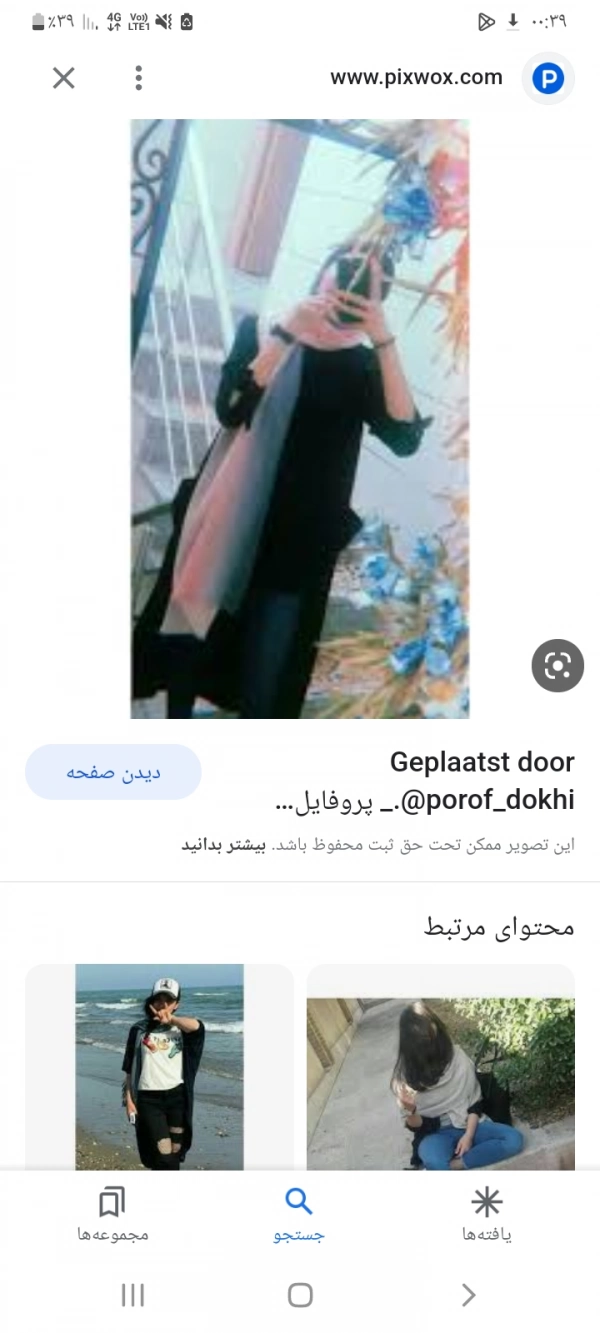 گل رز