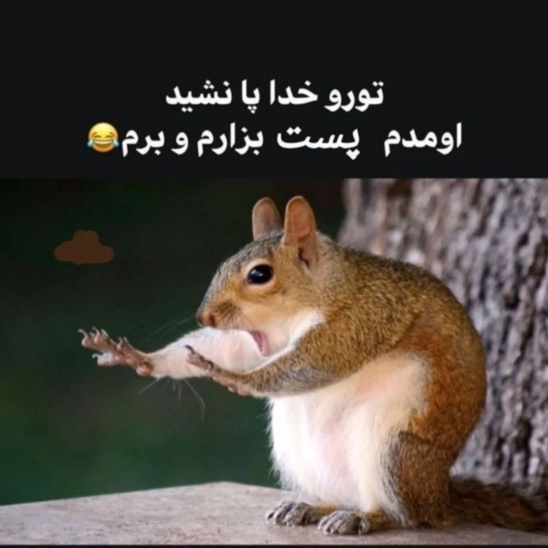 سیاره 8963