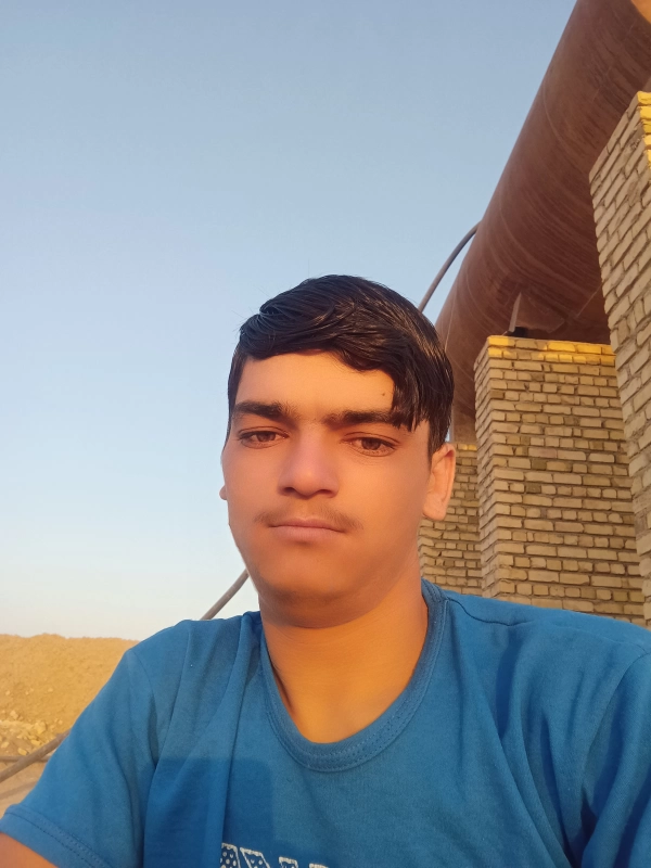 میرویس