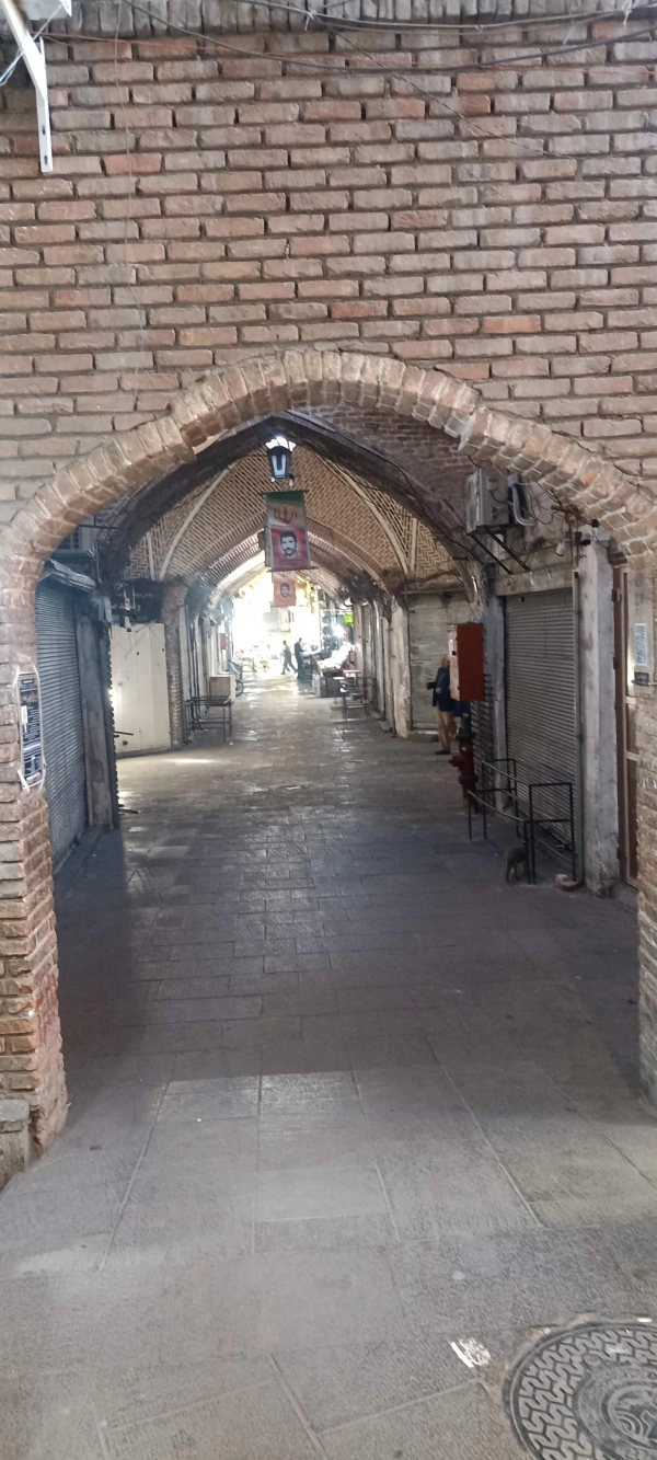 مهیار عیار