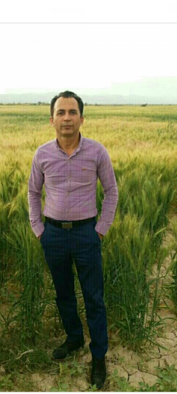 پیمان