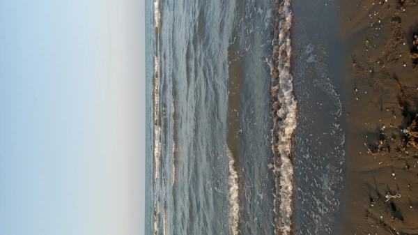 محمد