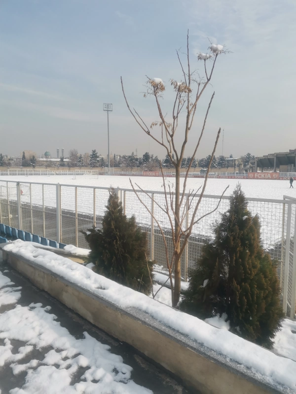 مبین