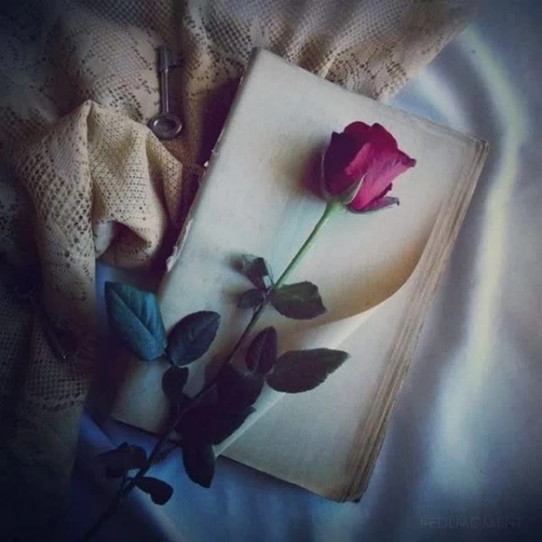 زهیل