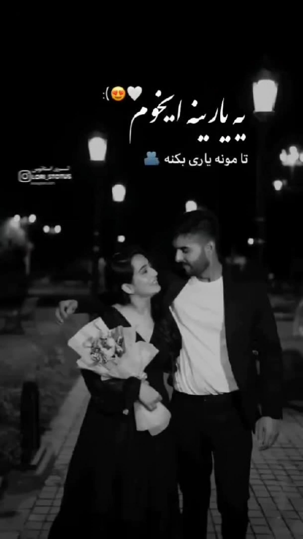 نوید حسنی