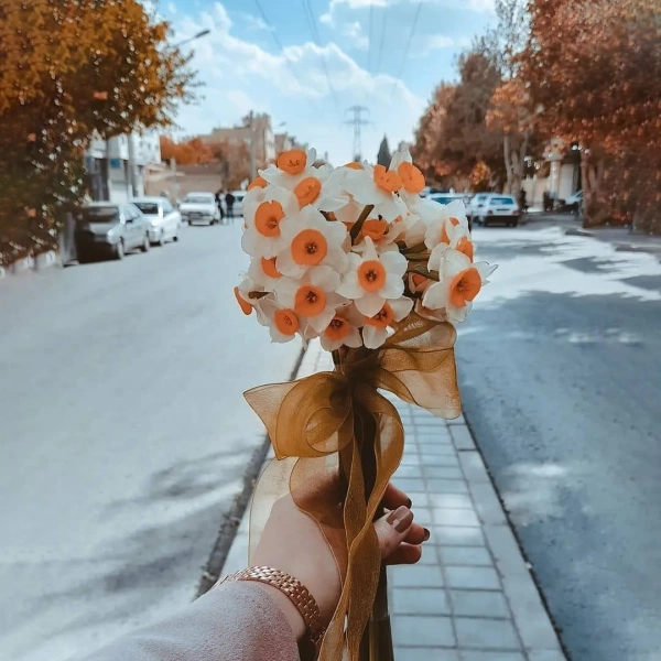زمین۷۶