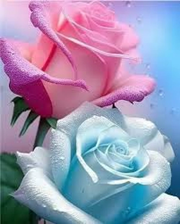 دل شکسته