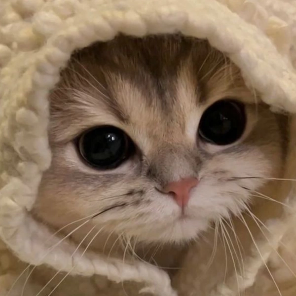 جانااان