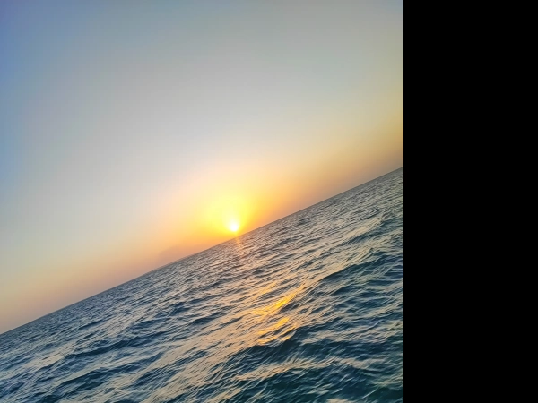 ehsanam