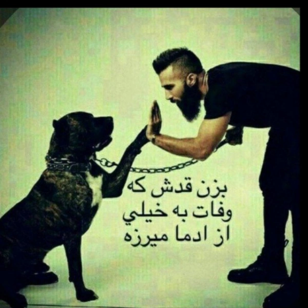 سیاره 8314