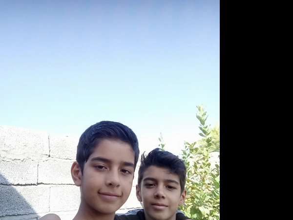 mehdi