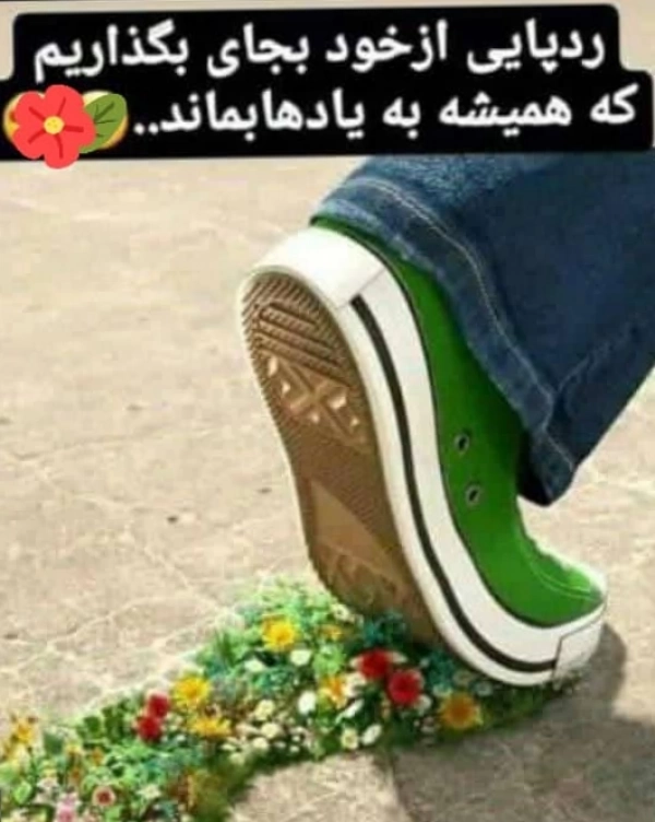 hassan