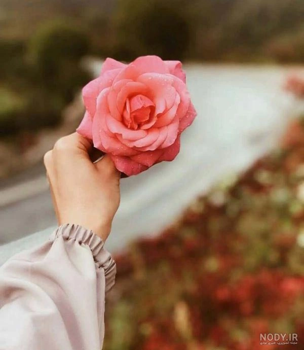 fatemeh