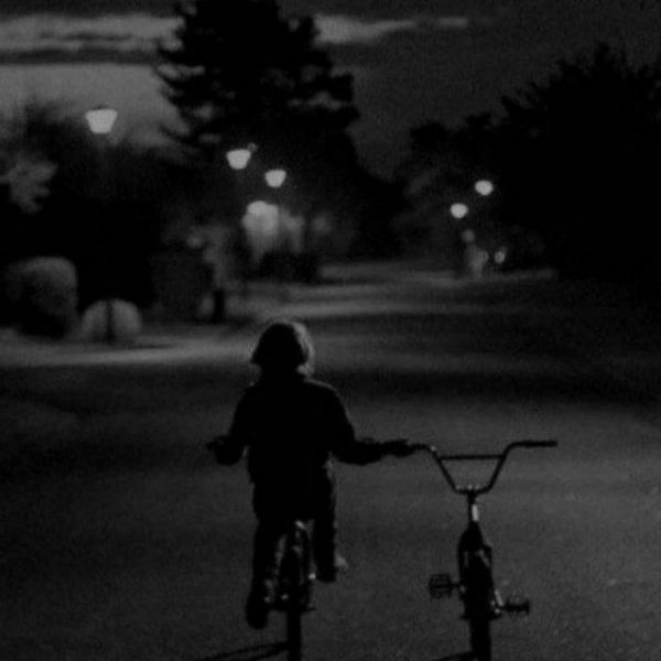 zinat
