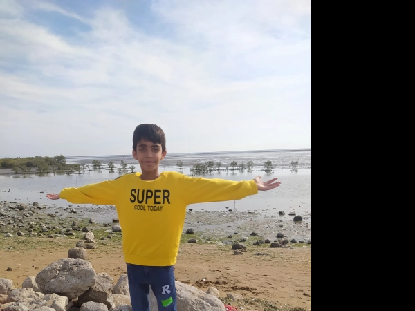 ممد