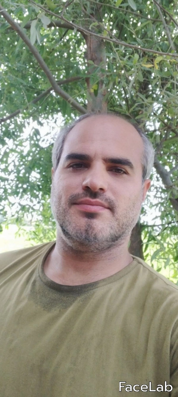 وحید