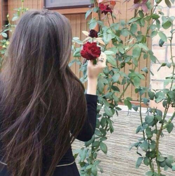 darya