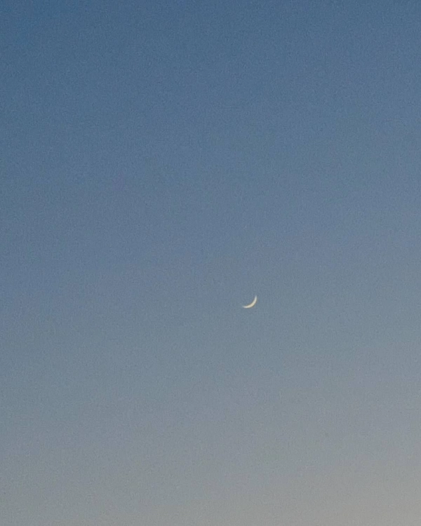 سیاره ۱۶