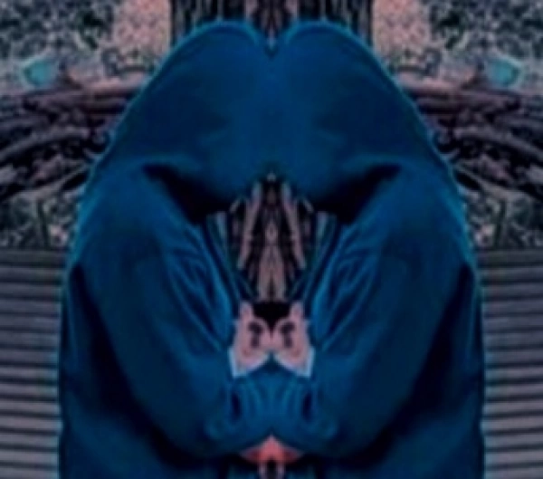 سارا هستم