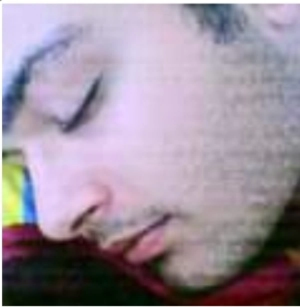 سیاره 8799