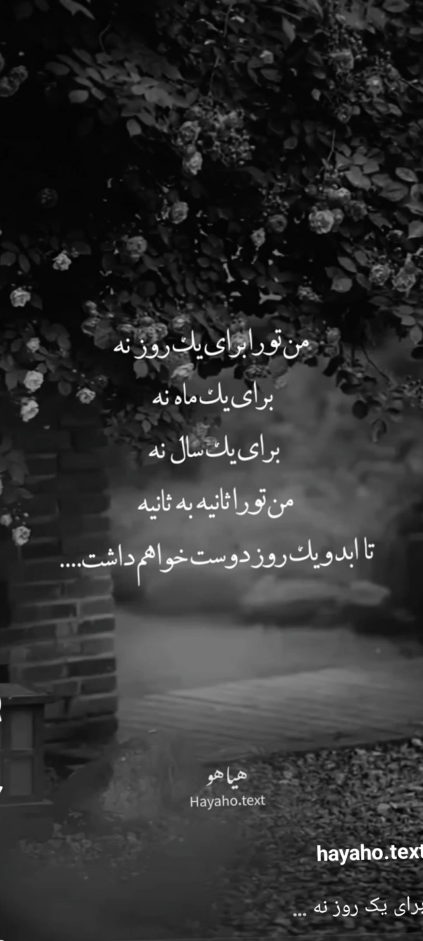 Ziba33T