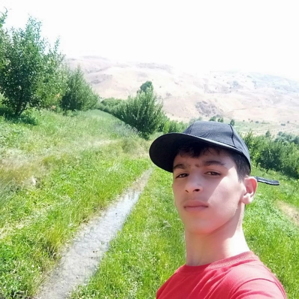 شایان