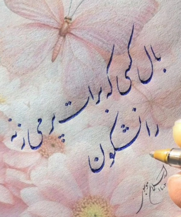 @mohamad4839