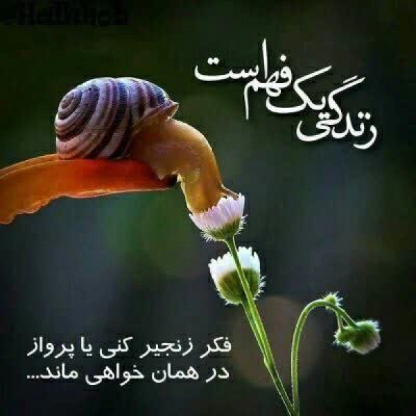 سیاره 6277