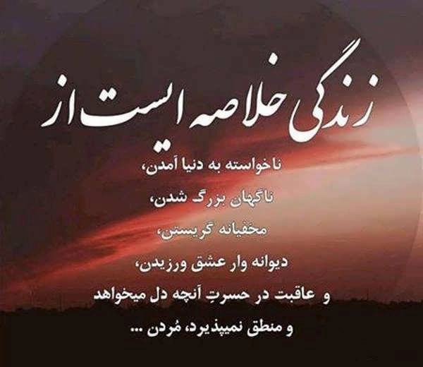 هرگز