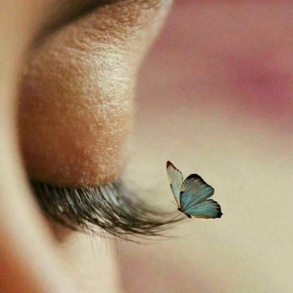 @yp193361