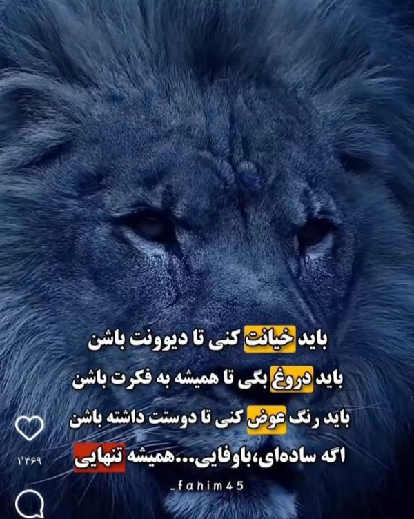 @yp195163