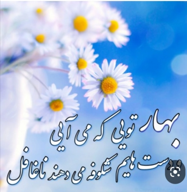 فرهاد