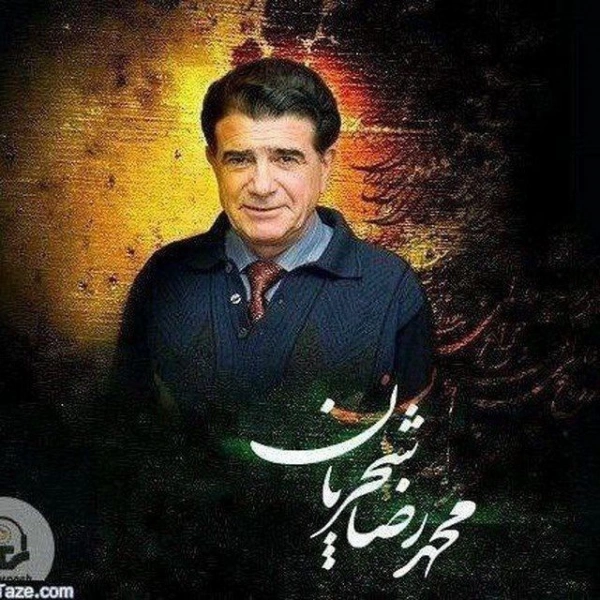 مجید دوراهکی