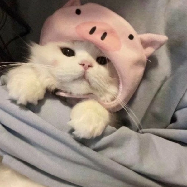 ):