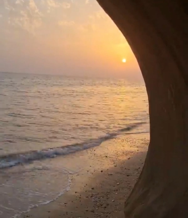 شمسی