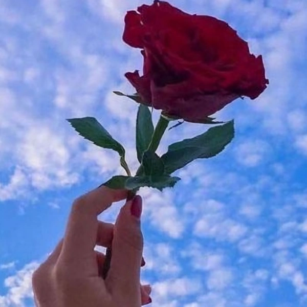سیاره 9897