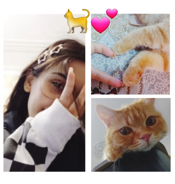 paria
