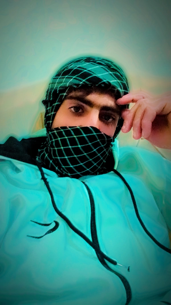 شاهین