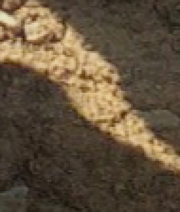 سیاره 1758