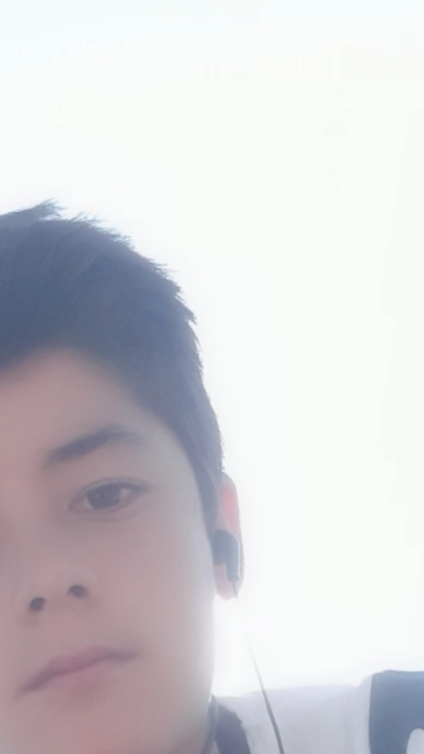 @yp203811