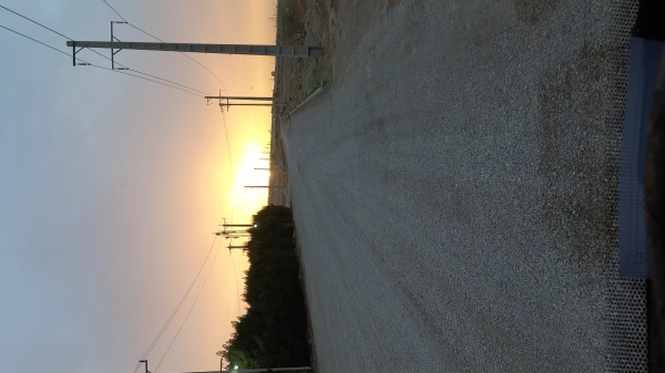 الیاس