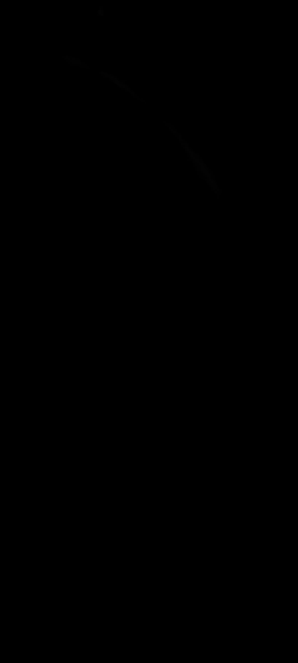 Kurd