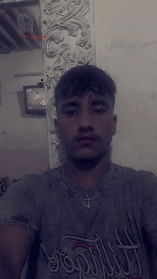 @yp206420