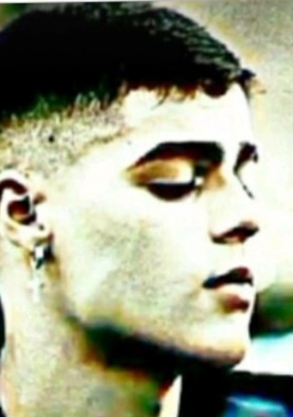 حامد