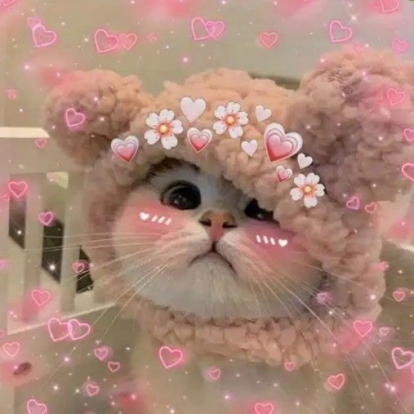 @yp208264
